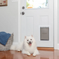 PetSafe Extreme Weather Aluminum Pet Door™ (Medium)