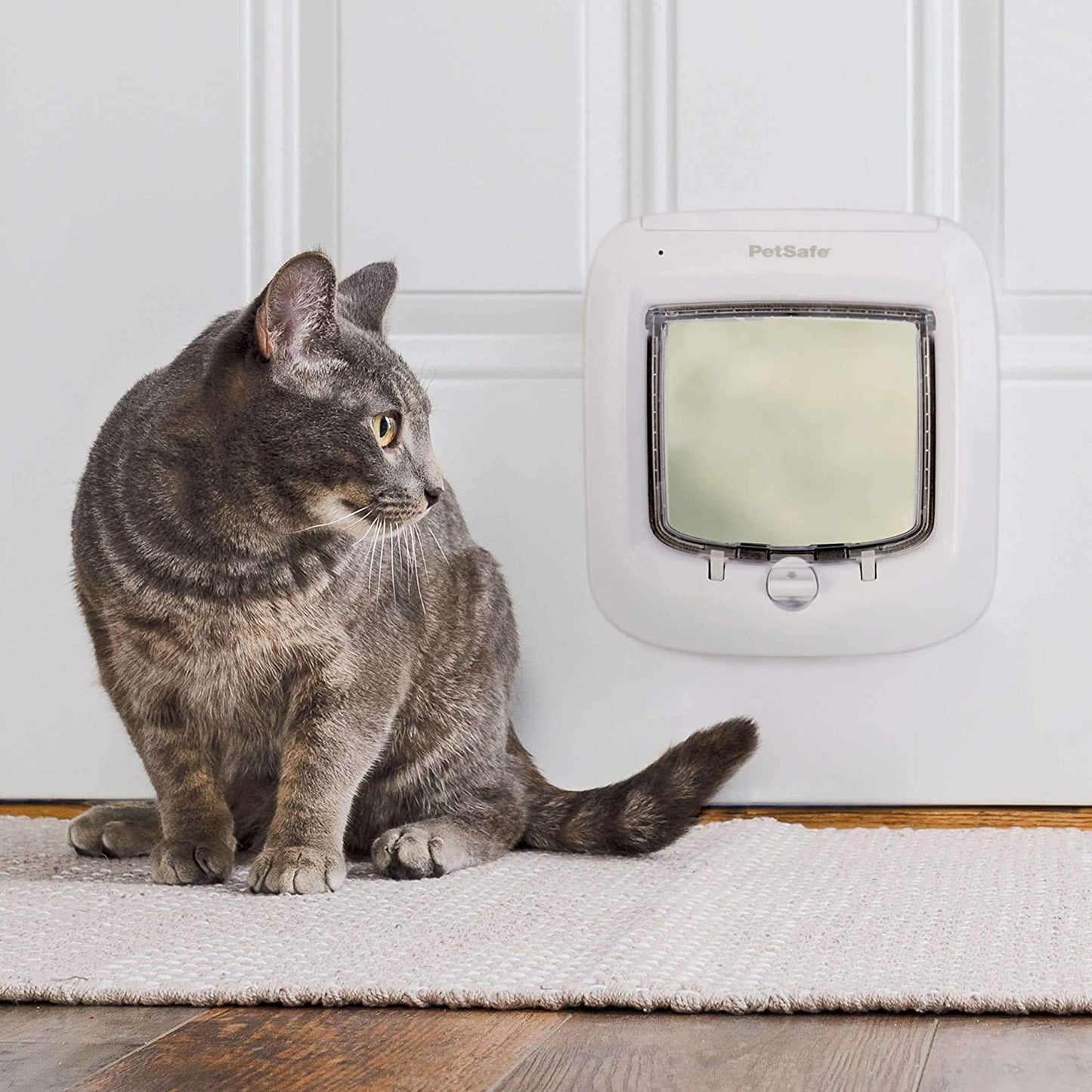 PetSafe Microchip Cat Door by Petsafe - PPA19-16145