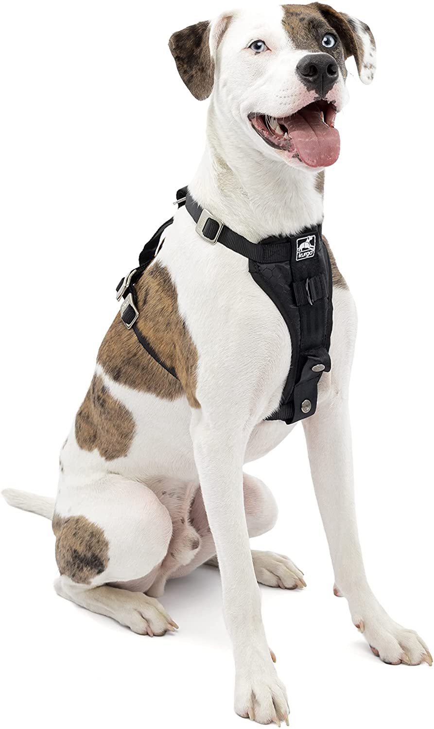 Kurgo dog outlet seat belt harness