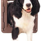 PetSafe Pet Door, Large - PPA00-10960