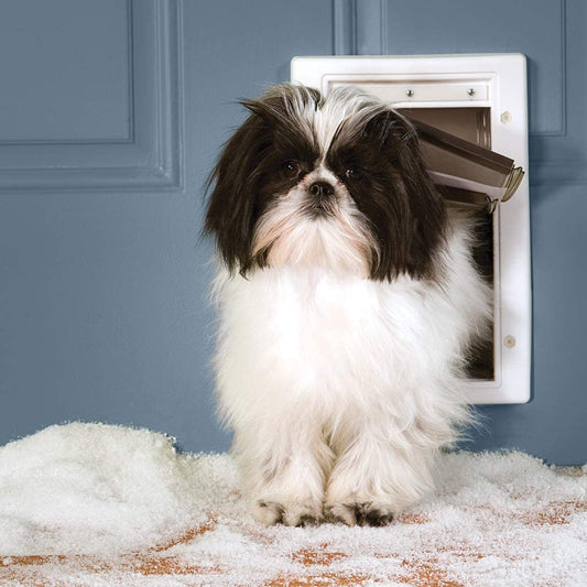 PetSafe Extreme Weather Energy Efficient Pet Door, White, Small - PPA00-10984