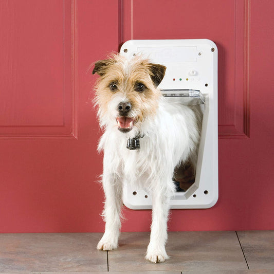 PetSafe Electronic SmartDoor, White, Small - PPA11-10711