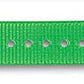 SportDOG Brand SAC30-13317 1" Collar Strap, Green - SAC30-13317