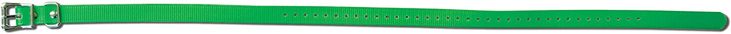 SportDOG 3/4" Collar Strap, Green - SAC30-13321