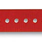 SportDOG 1" Collar Strap, Red - SAC30-13322