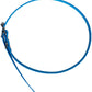 SportDOG 3/4" Collar Strap, Blue - SAC30-13369