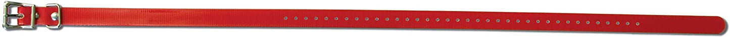 SportDOG 3/4" Collar Strap, Red - SAC30-13370