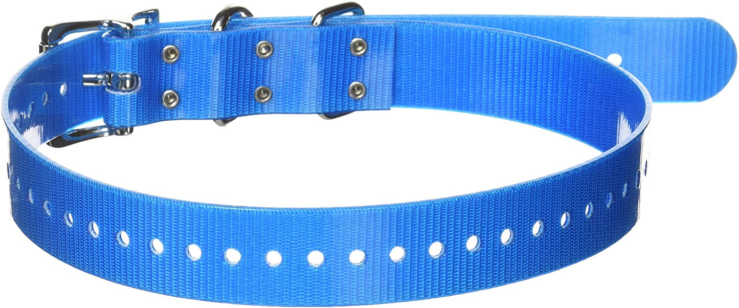SportDOG 1" Collar Strap, Blue - SAC30-13374