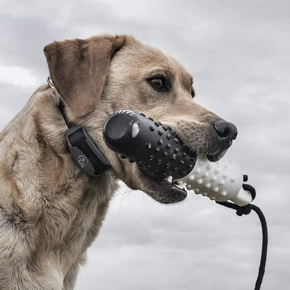 SportDOG Brand Field Trainer 425X - SD-425X