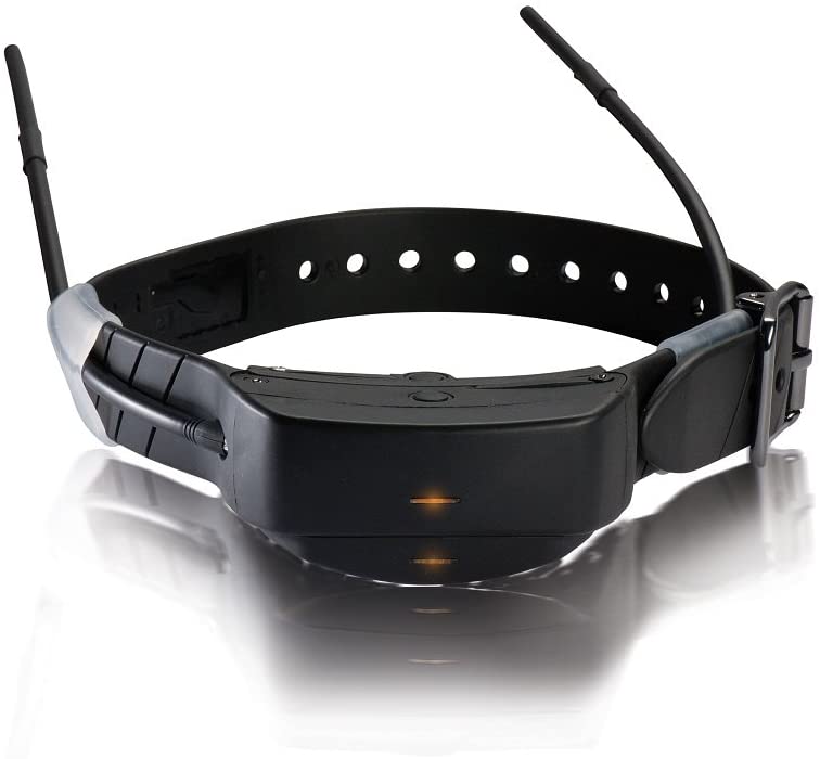 SportDOG Brand Add-A-Dog Collar for TEK Series 1.0 GPS Tracking and E-Collar System - TEK-AD-C