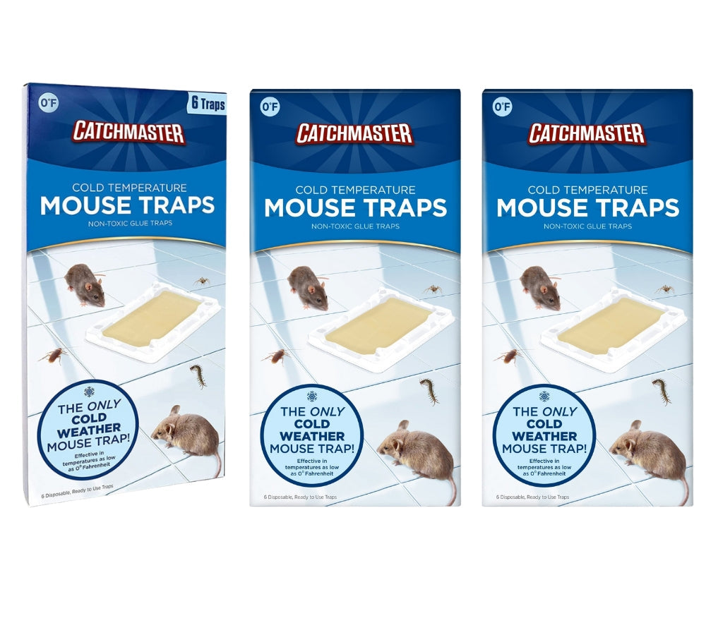 Cold Temperature Mouse Size Glue Traps