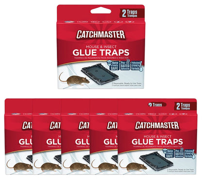 Mouse Size Glue Traps