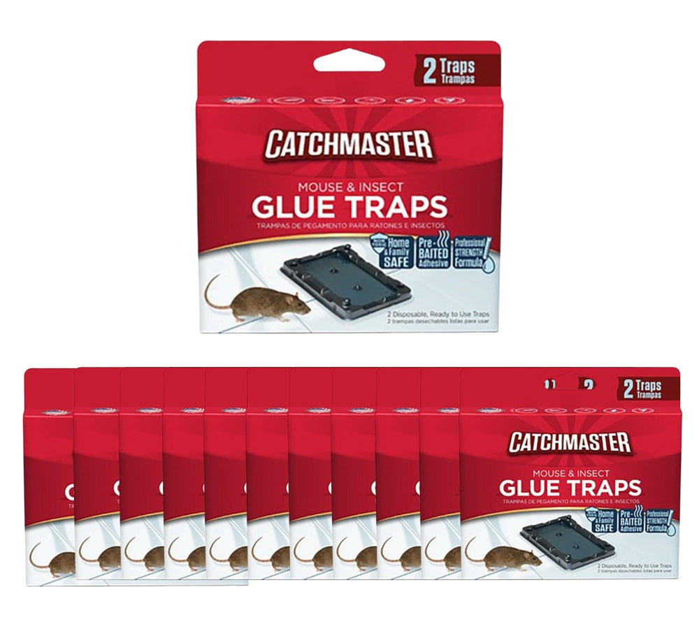 Mouse Size Glue Traps